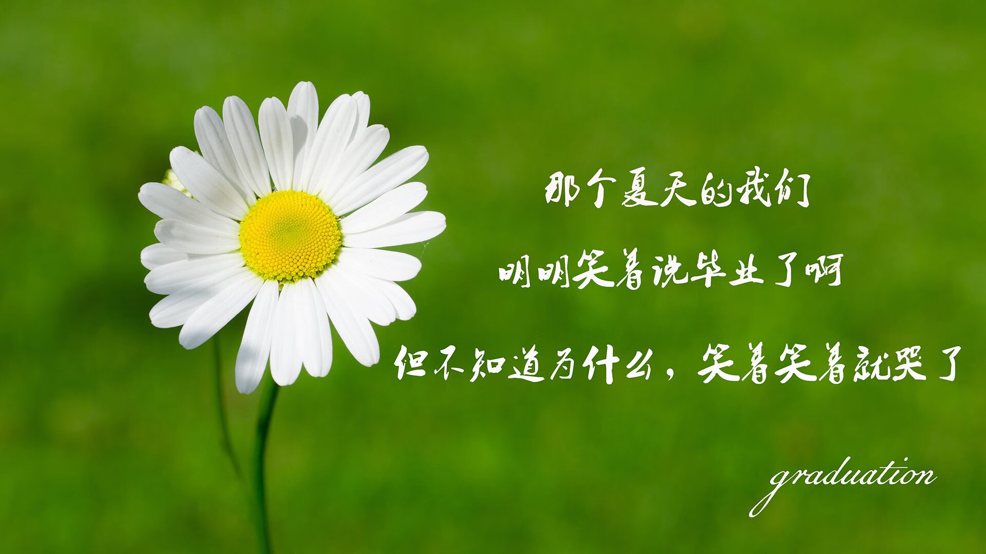 奇才比尔再度发威主场取胜，奇才比尔什么时候复出