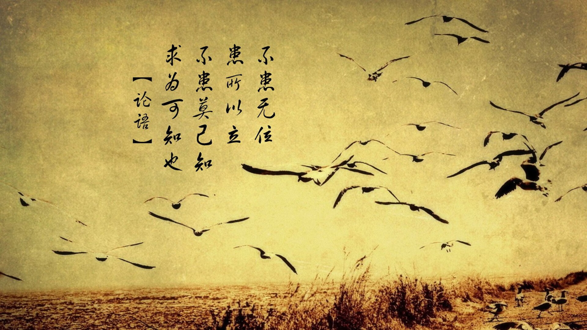 巴伐利亚德比重燃，霍芬海姆迎战奥格斯堡，霍芬海姆对利贝雷茨